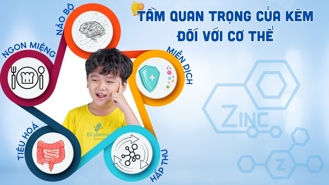 tầm quan trọng của kẽm với cơ thể